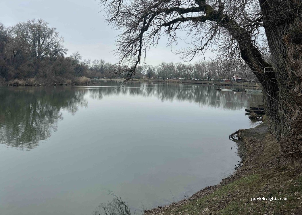 (6800) Hódmezővásárhely - Darvassy István utca — foto 2