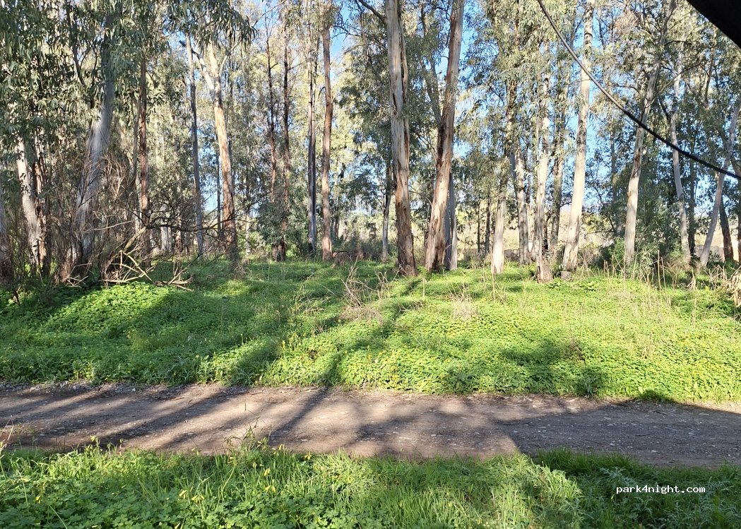 (29100) Coín - — foto 3