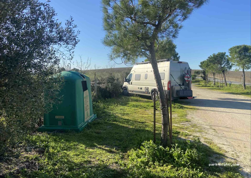 (11592) Jerez - CA-3111 — foto