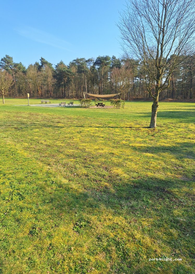 Landschapscamping Little Witrijt-THUYSGROND — foto 2