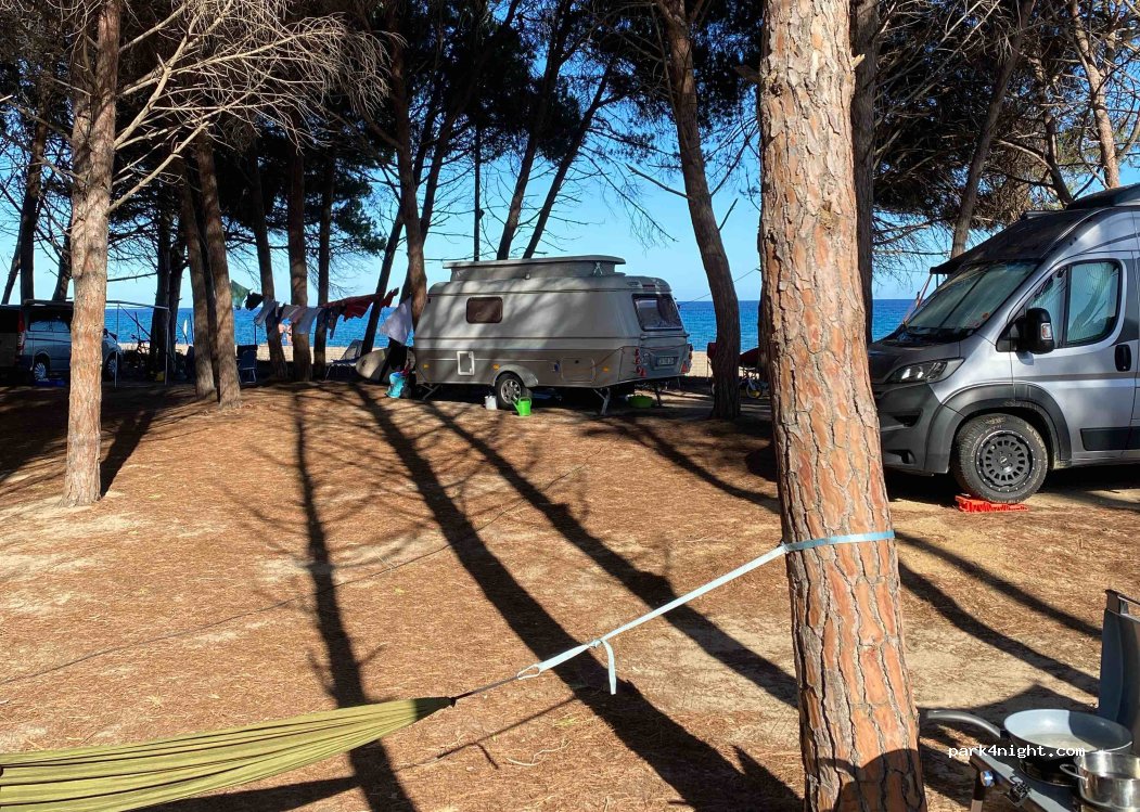 Camping Cavallo Bianco — foto 3