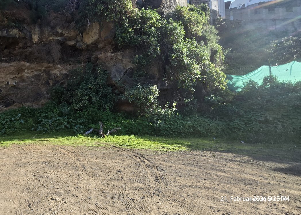 (38550) Arafo - Camino Barranco de la Piedra — foto