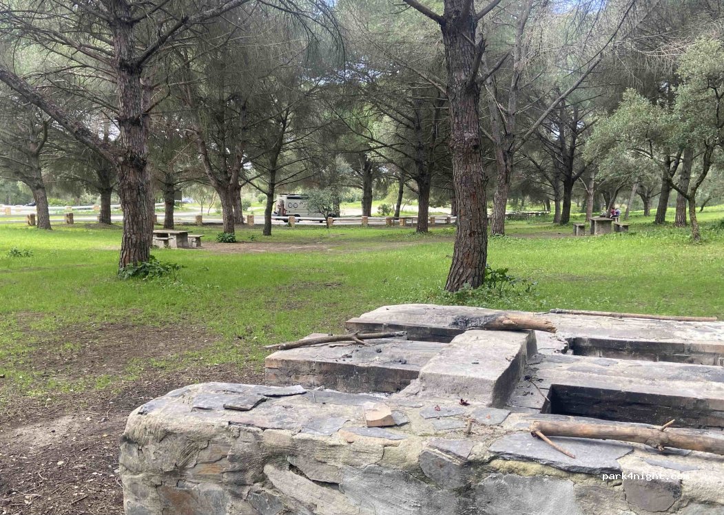(11570) Jerez - Unnamed Road — foto 4