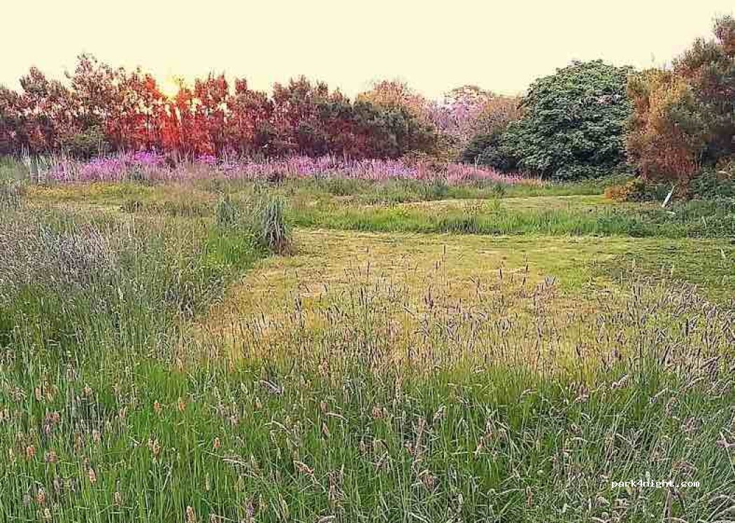 Trelay Campsite — foto 5