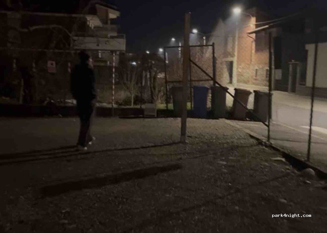 (28074) Sizzano - Via Trivulzio — foto