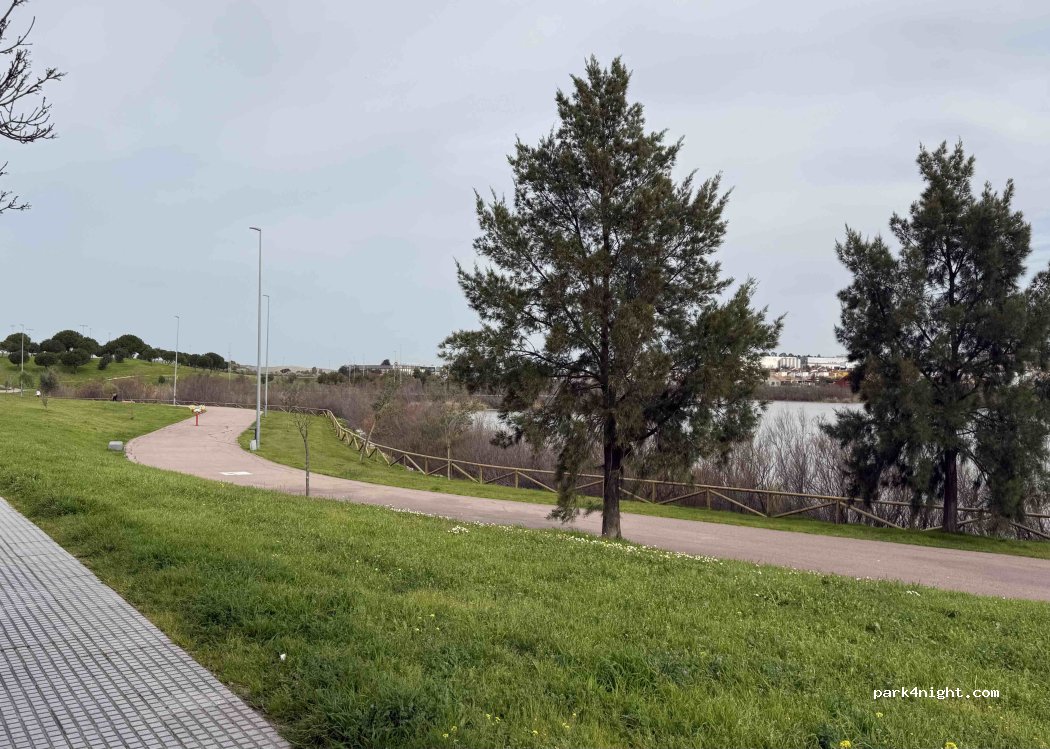 (11408) Jerez - Calle Irlanda — foto