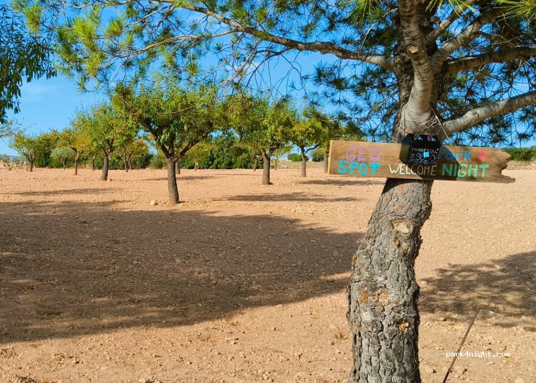 Finca La Loma — foto 4