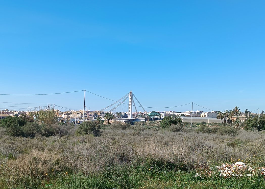(03207) Elx / Elche - camí del Pantà — foto 2
