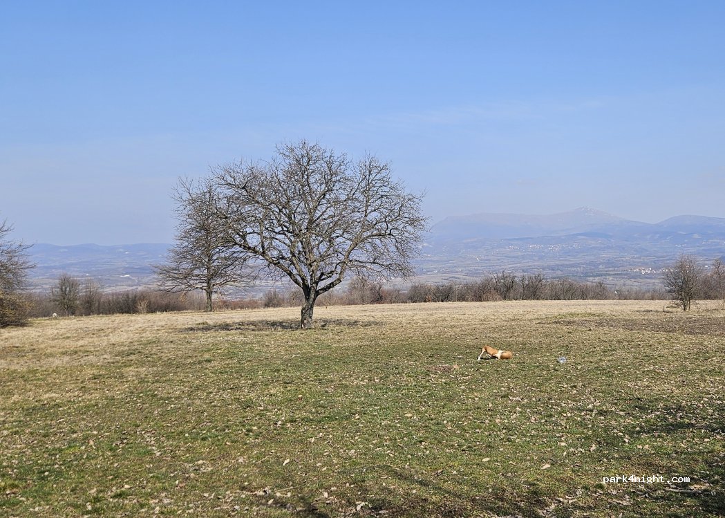 (18230) Sokobanja Municipality - — foto 5