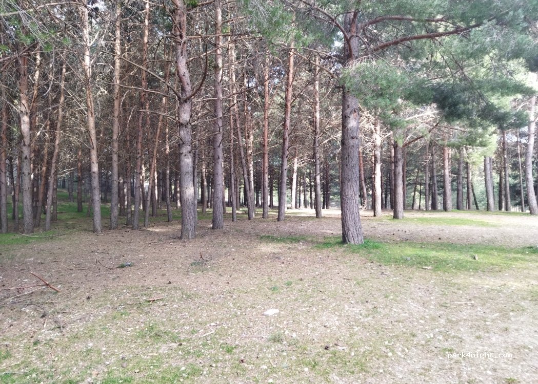 (44114) Villar del Cobo - — foto 2