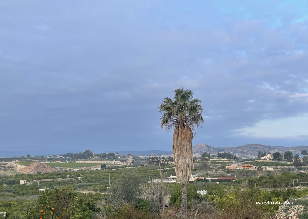 (30170) Mula - Carretera de Murcia — foto 2