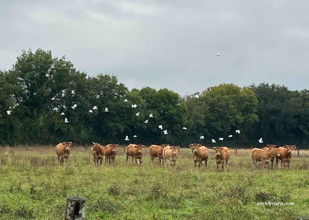 Domaine Godefroy Jérôme — foto 4