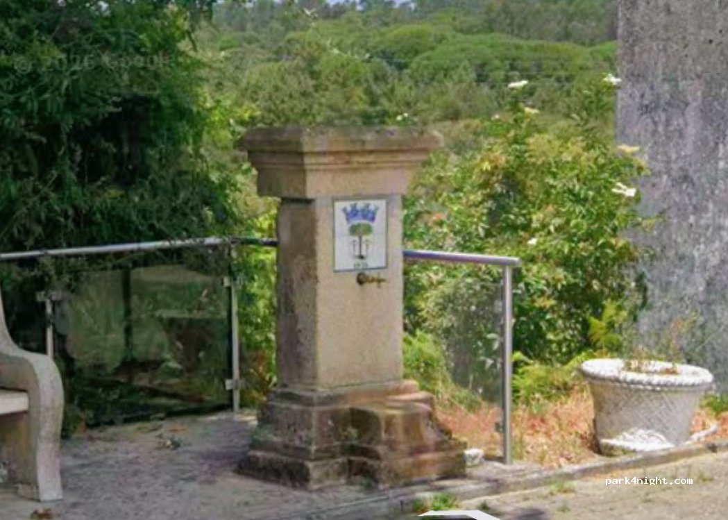 (3460-391) Parada de Gonta - EN 2 — foto