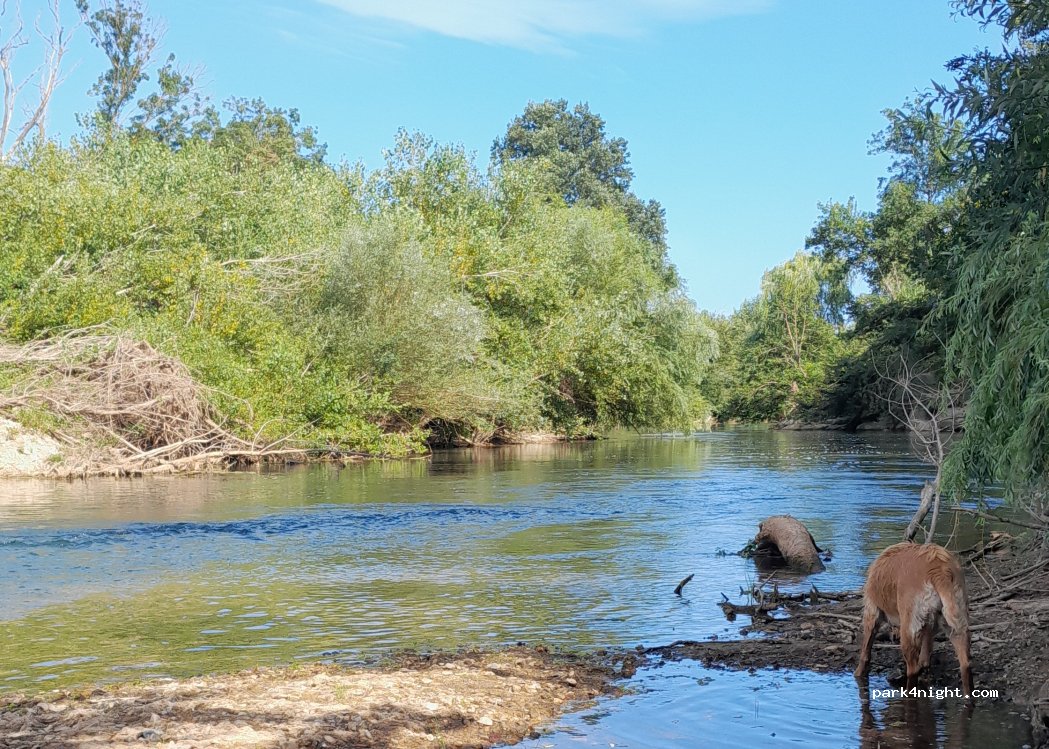 (83520) Roquebrune-sur-Argens - chemin de l'Iscle — foto 2