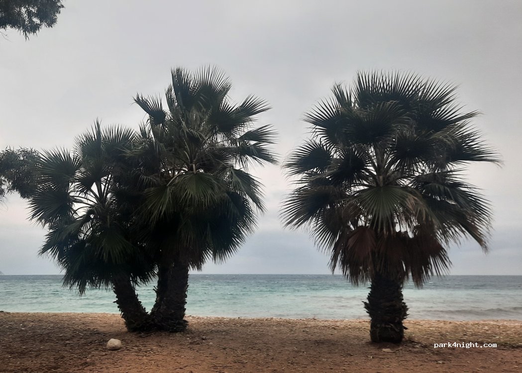 (03570) la Vila Joiosa / Villajoyosa - Avinguda Tellerola — foto 3