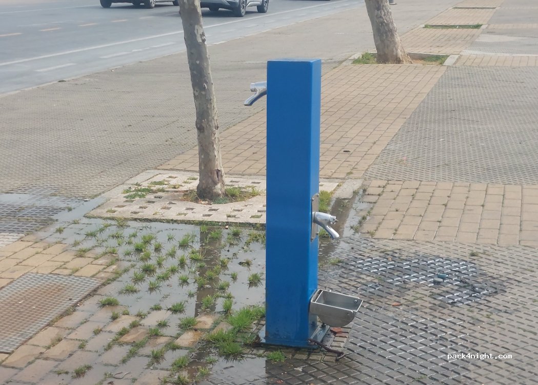 (21410) Isla Cristina - Avenida del Carnaval — foto