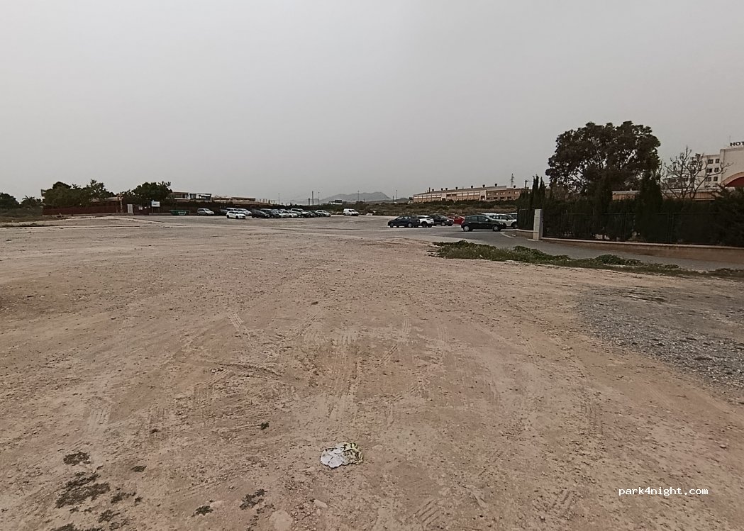 (03208) Elx / Elche - Avinguda Professor Enrique Tierno Galván — foto