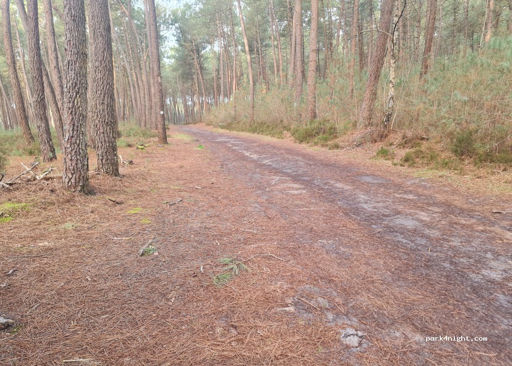 (72250) Brette-les-Pins - Chemin de Possé à Challes — foto