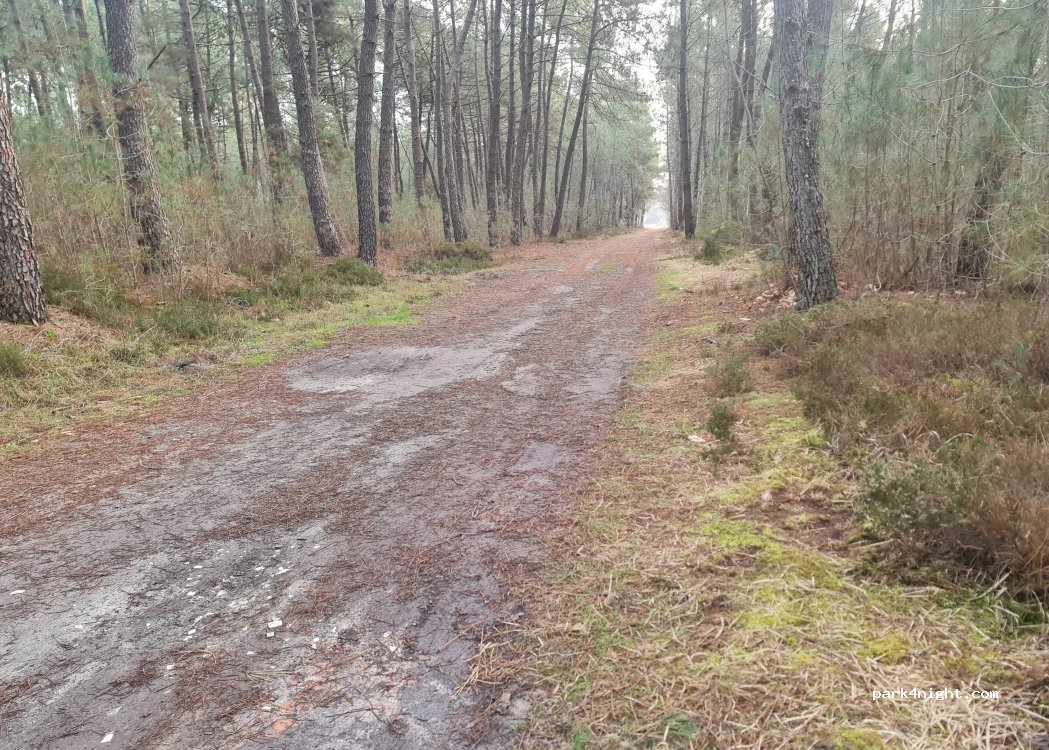 (72250) Brette-les-Pins - Chemin de Possé à Challes — foto 2