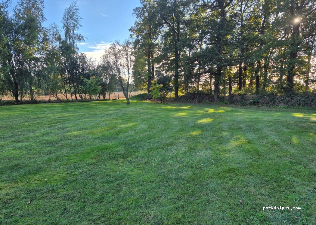 (49419) Wagenfeld - Im Keenmoore — foto