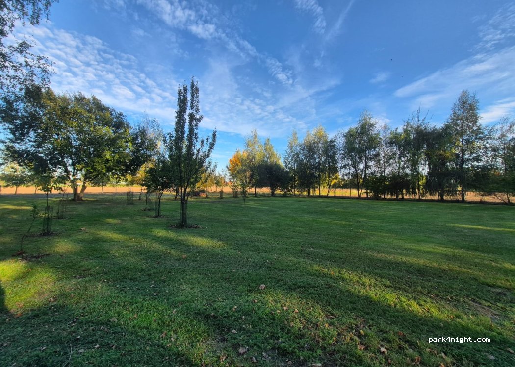 (49419) Wagenfeld - Im Keenmoore — foto 2