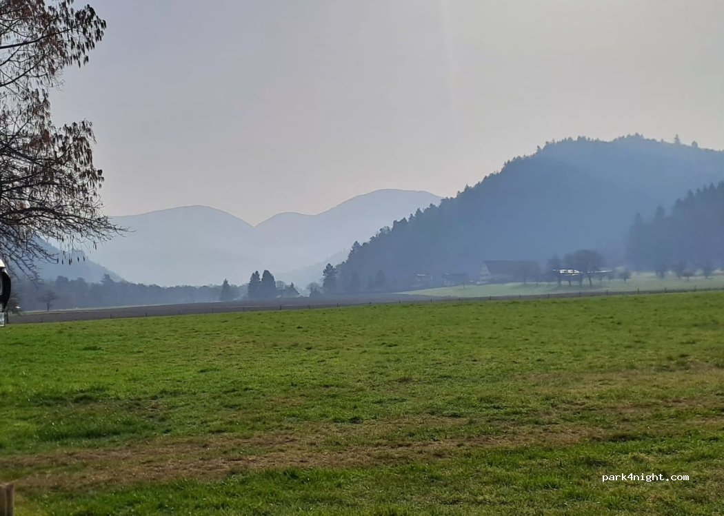Belchenblickwiese Naturcamping — foto