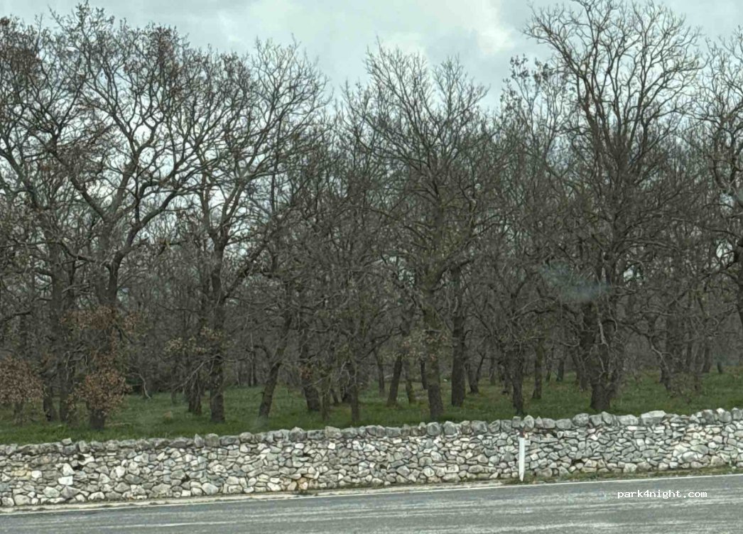 (70023) Gioia del Colle - Autostrada Adriatica — foto
