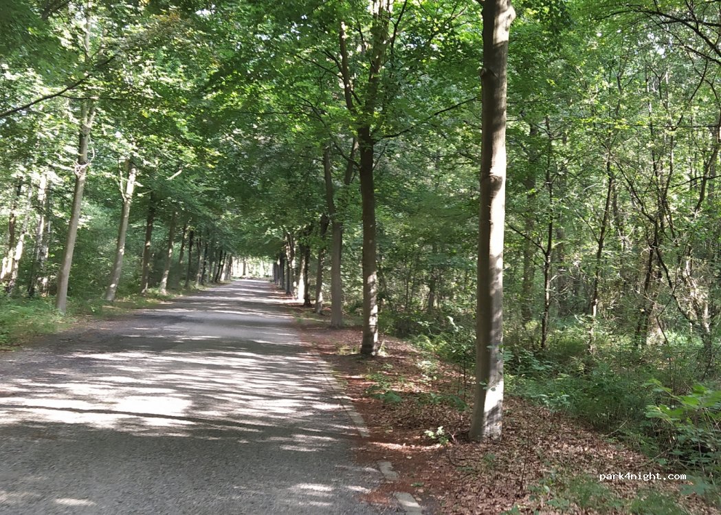 (3560) Lummen - 53 Opworpstraat — foto 2