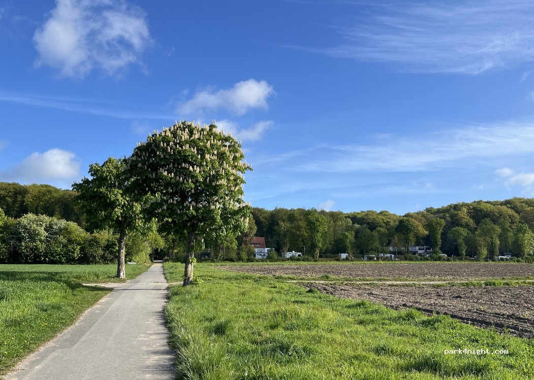 (49536) Lienen - Holperdorper Str.37 — foto 5