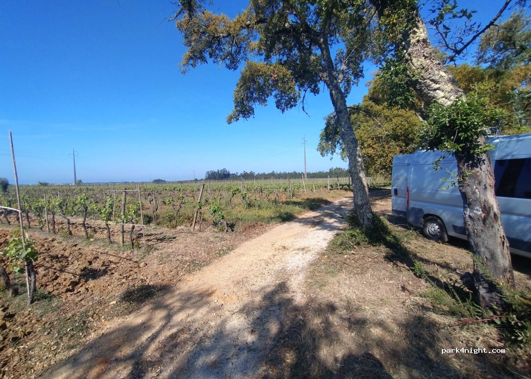 (3000-136) Ourentã - EN 234 — foto 3