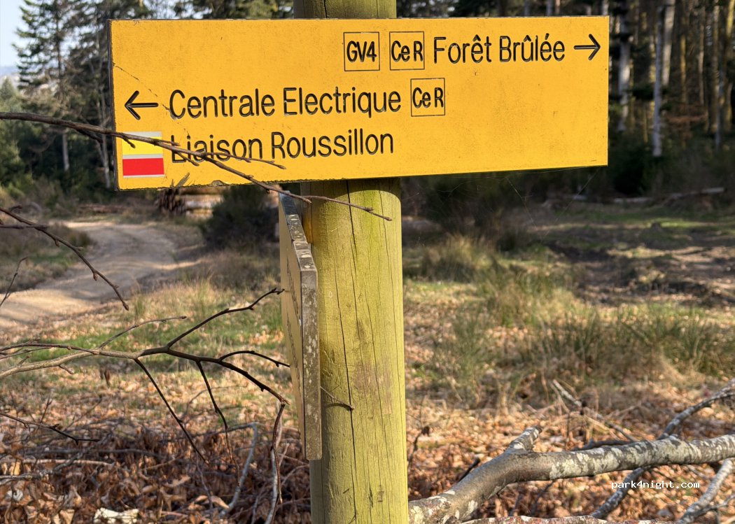 (71550) Roussillon-en-Morvan - Route Forestière des Grandes Ventes — foto