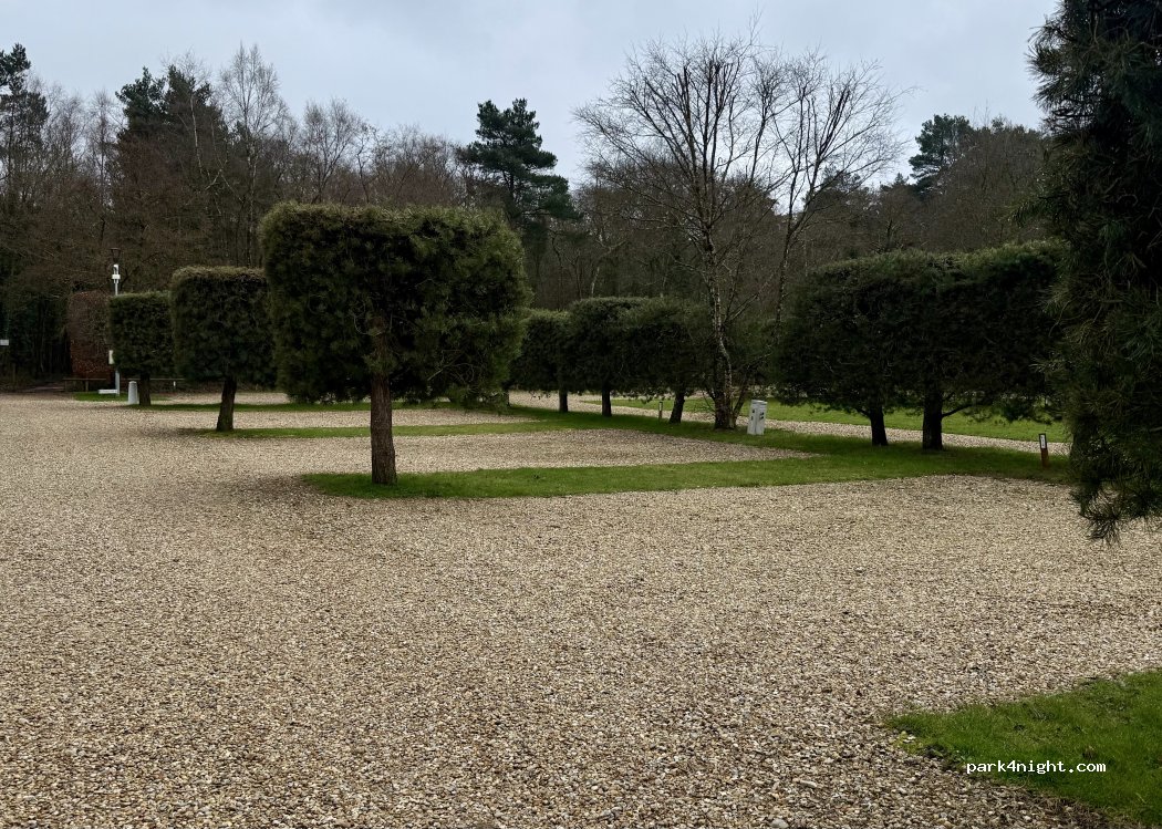 Wareham Forest Tourist Park — foto