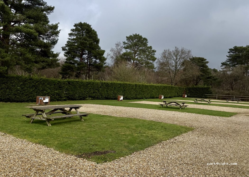 Wareham Forest Tourist Park — foto 4
