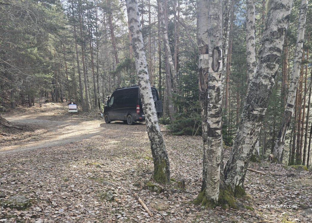 (2809) Golem Tsalim - — foto 2