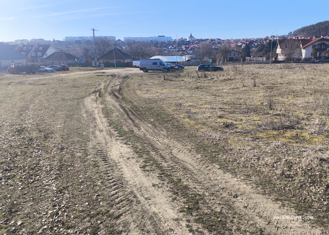 (520009) Sfântu Gheorghe - Strada Borviz — foto 2