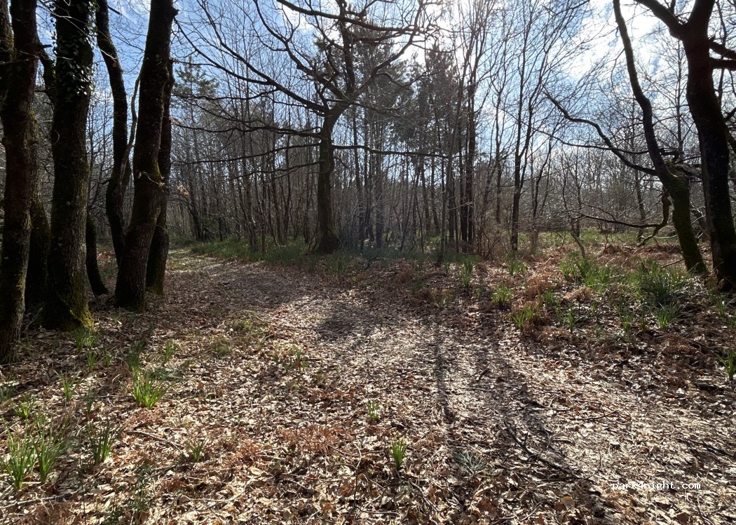 (17600) Saint-Romain-de-Benet - D 136 — foto