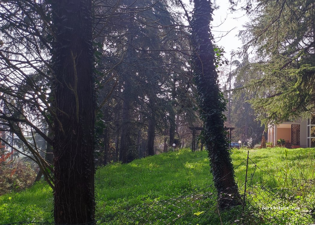 C'è quel che ce — foto 2