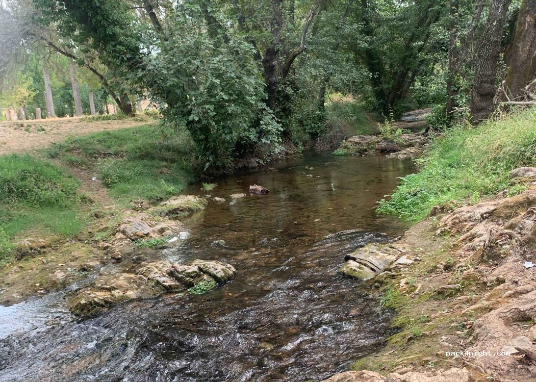 Camping la Fundición — foto 4