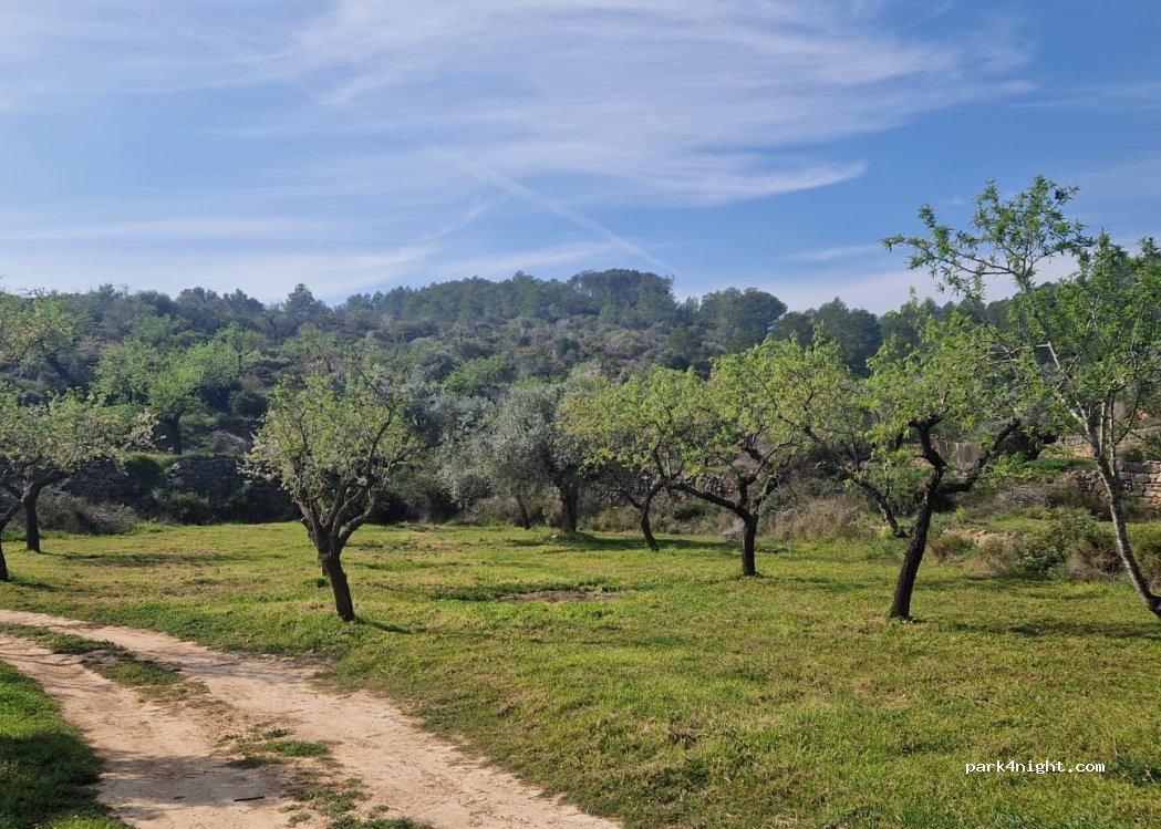 La Finca Anabel — foto 2
