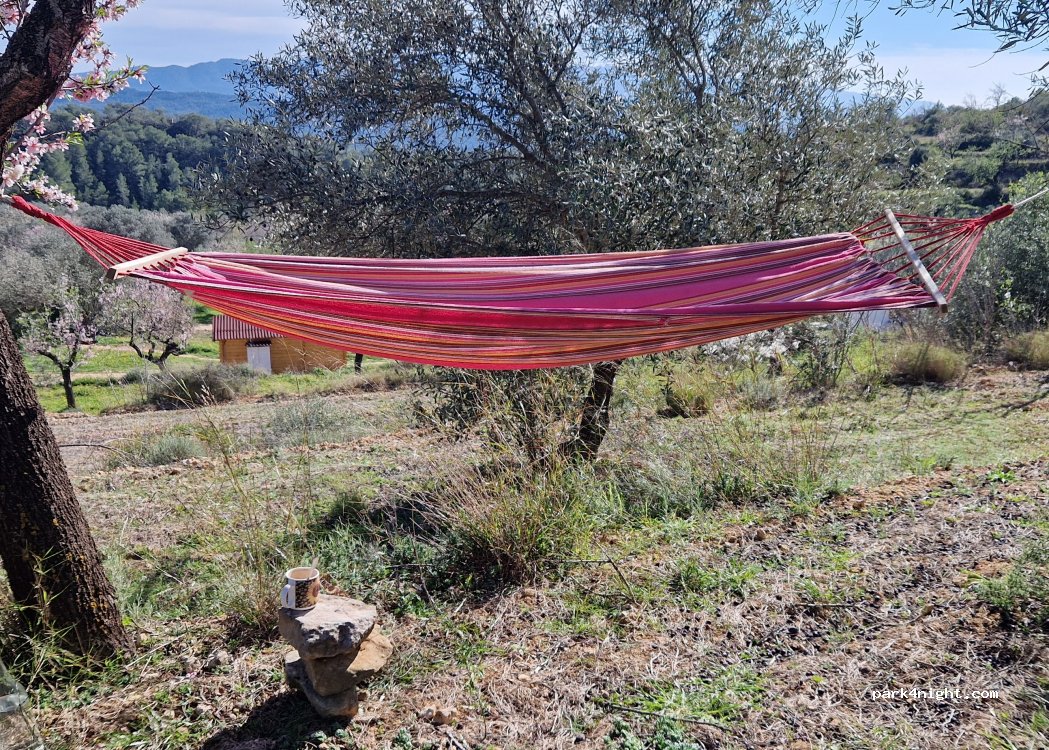 La Finca Anabel — foto 5