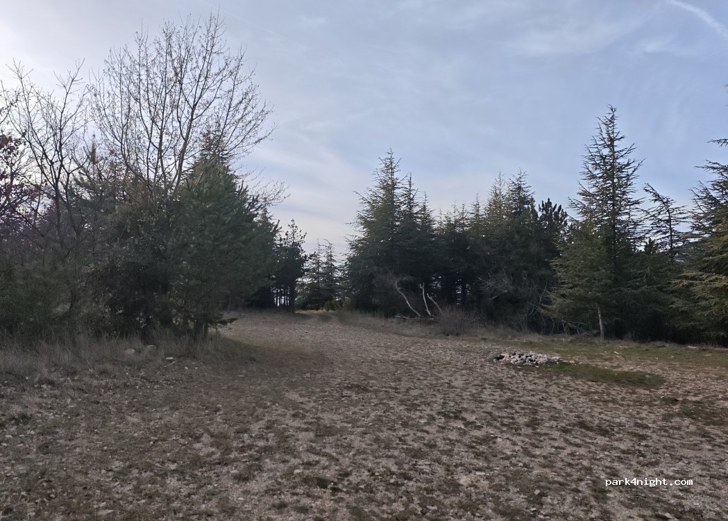 (84340) Beaumont-du-Ventoux - Route du Mont-Ventoux — foto 3