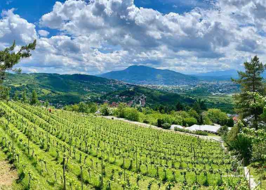 Hedona Wine Club — foto 2