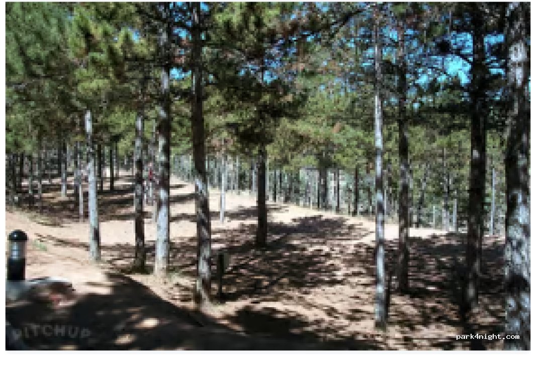 Camping Las Cabañas — foto 3