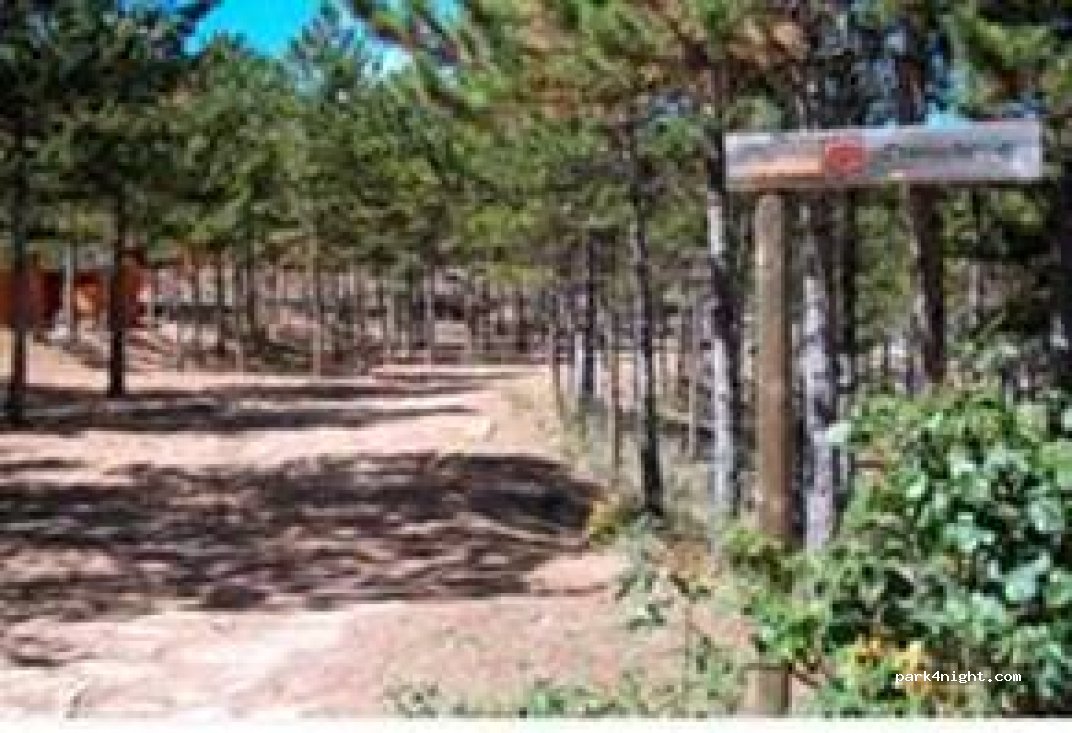 Camping Las Cabañas — foto 5