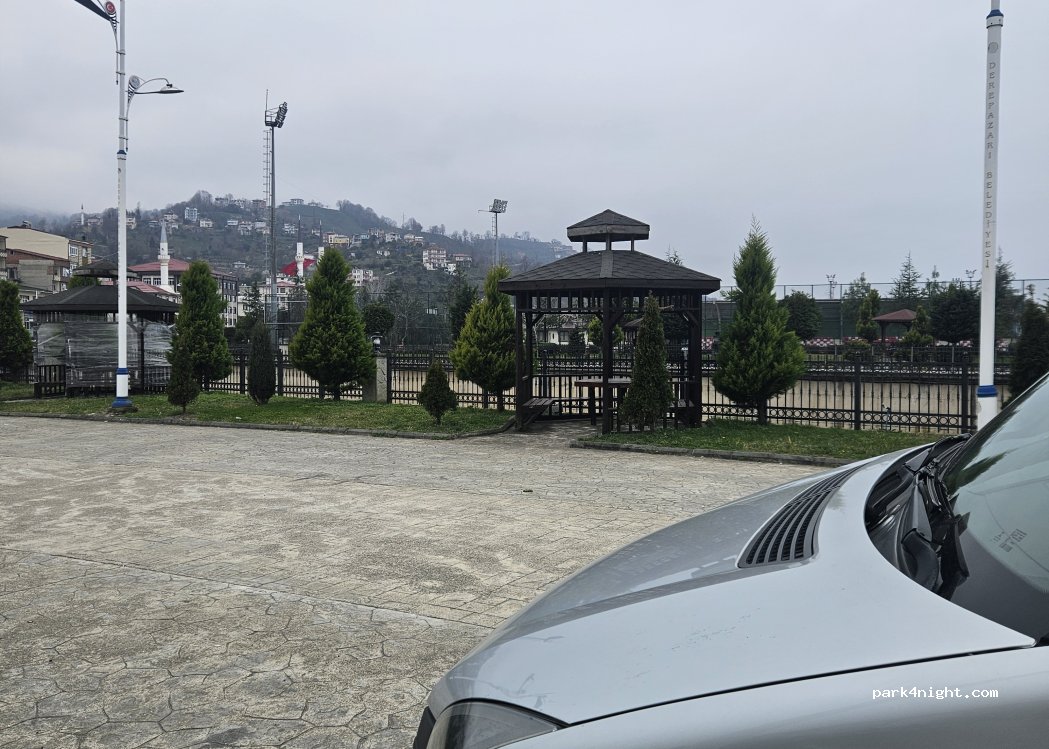(53900) Derepazarı - D010 — foto