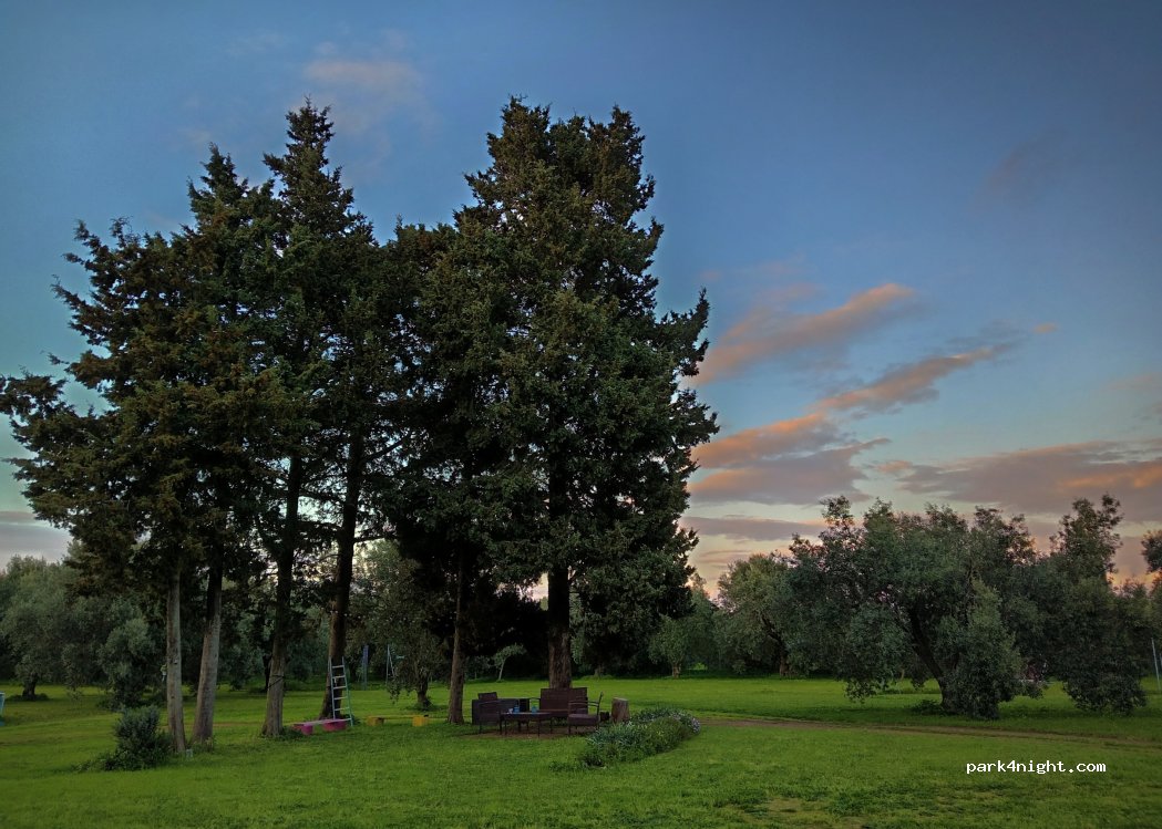 L'Oasi — foto 2