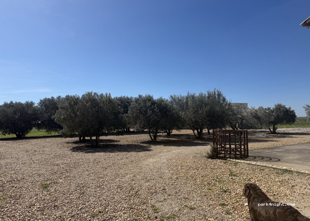 Domaine Sainte Cécile « Canard des rizières » — foto 3