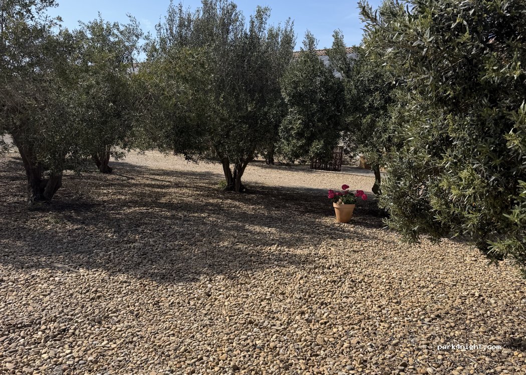 Domaine Sainte Cécile « Canard des rizières » — foto 4