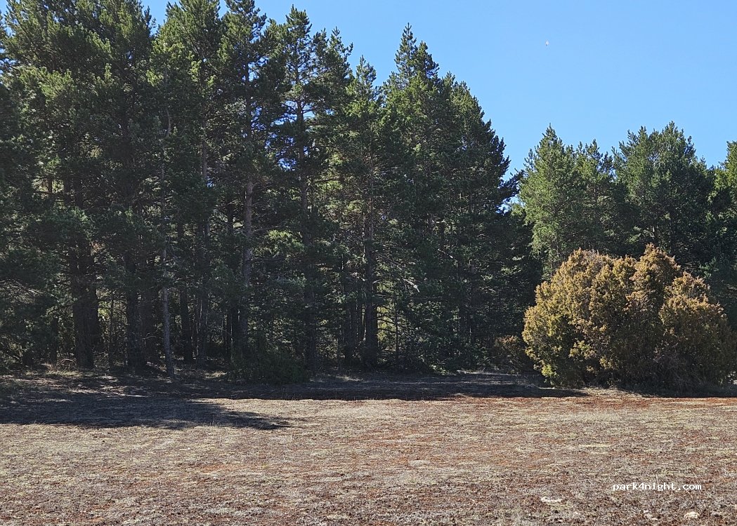 (44433) Gúdar - Pista a la Dehesa — foto 2