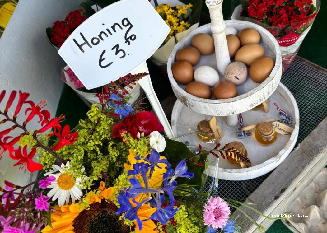 (2241BH) Wassenaar - Lagerweide — foto 2